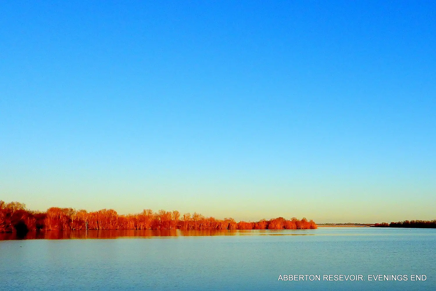 Abberton. Xmas day.( In Explore ) - Flickr - pete. ^hwcp