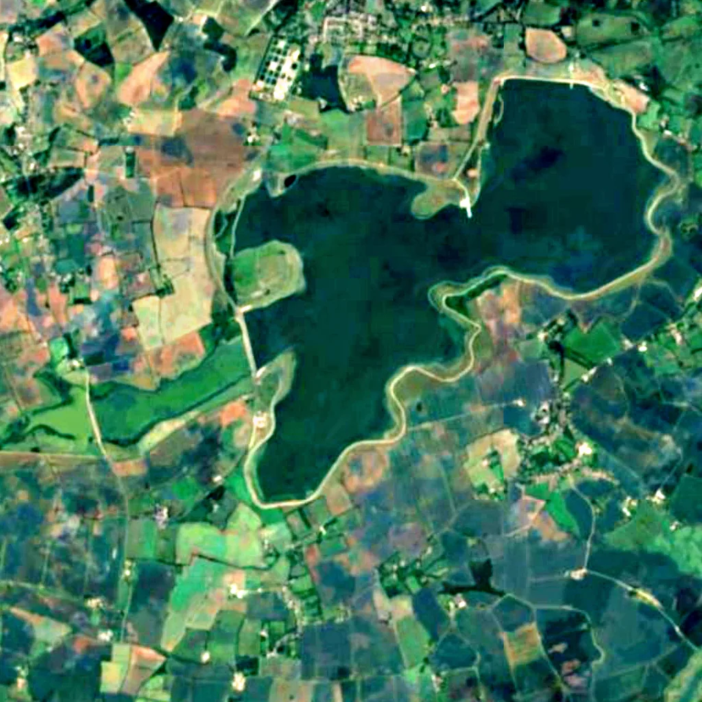 Abberton Reservoir seen from above (Sentinel-2)