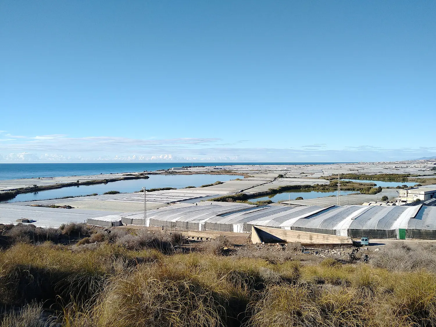 Albufera de Adra en 2020 03