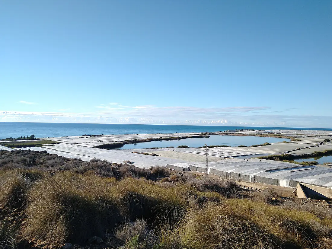 Albufera de Adra en 2020 01