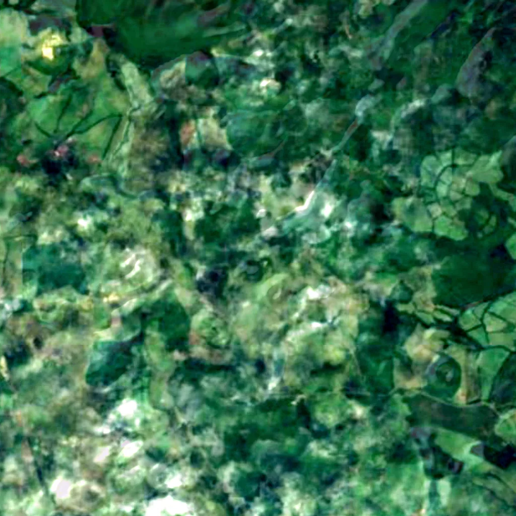 Algar do Carvão vu d'en haut (Sentinel-2)