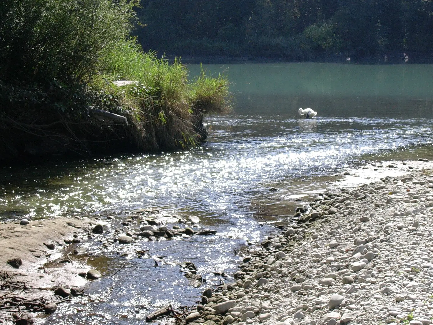 Allondon-rhône