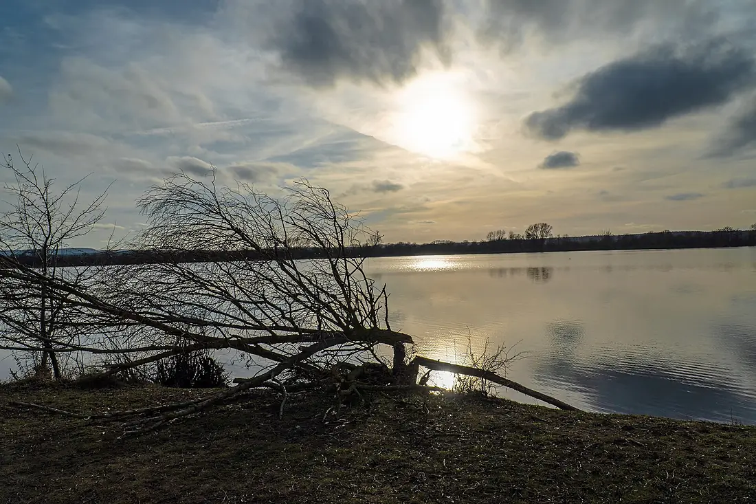 Altmühlsee Vogelschutzgebiet 2