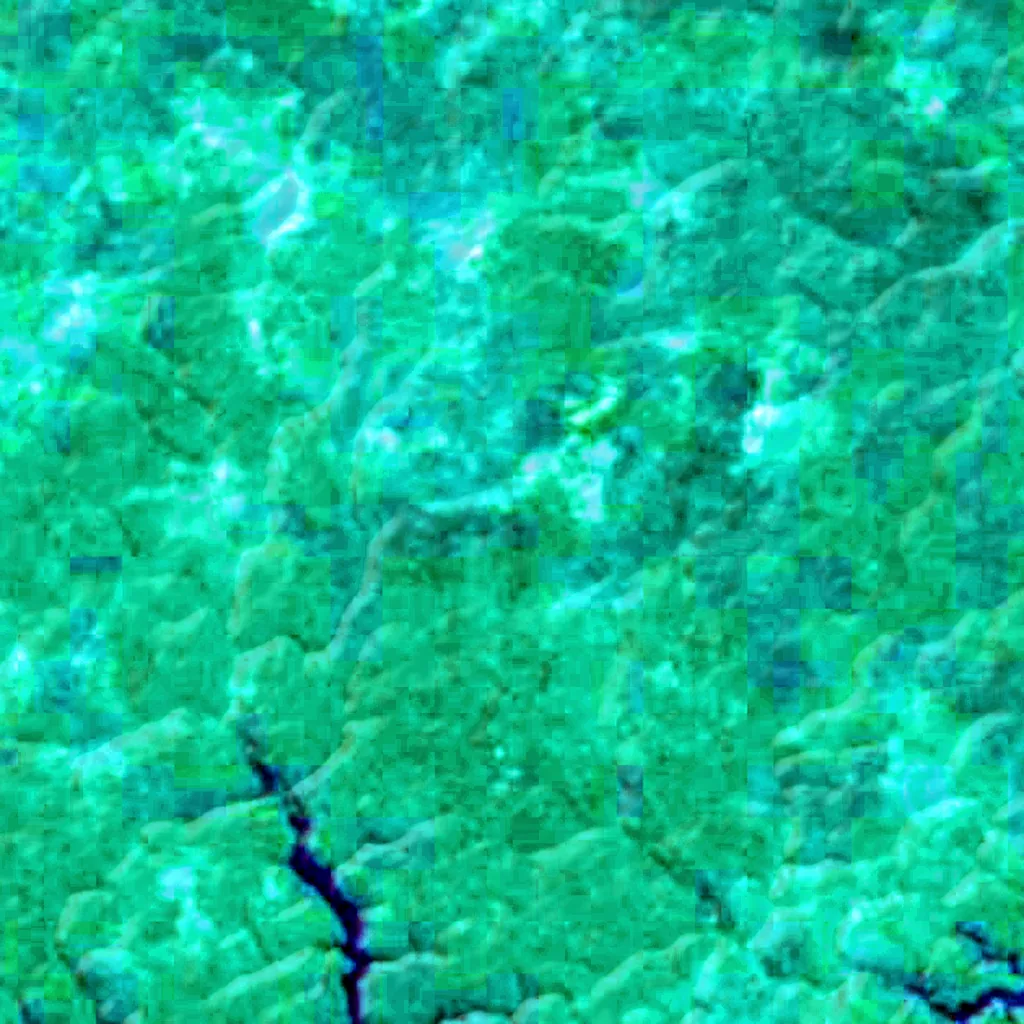 Anavilhanas National Park seen from above (Sentinel-2)