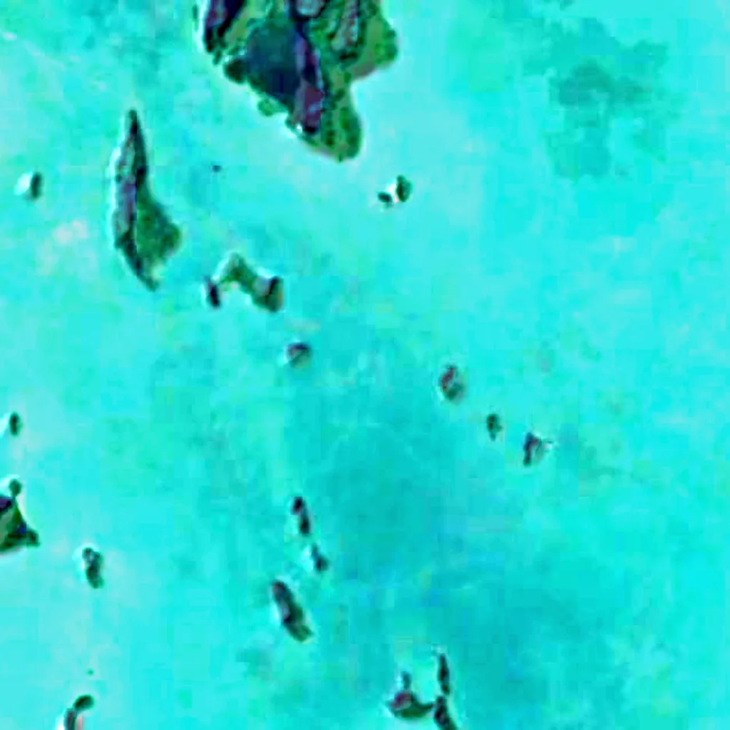Ao Phang Nga National Park seen from above (Sentinel-2)