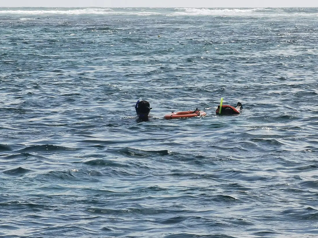 Personas haciendo snorkel en el Parque nacional Arrecife de Puerto Morelos