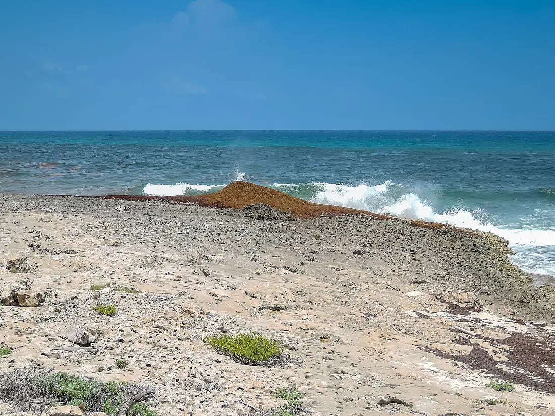 Punta sur Cozumel Mexico (21379198062)