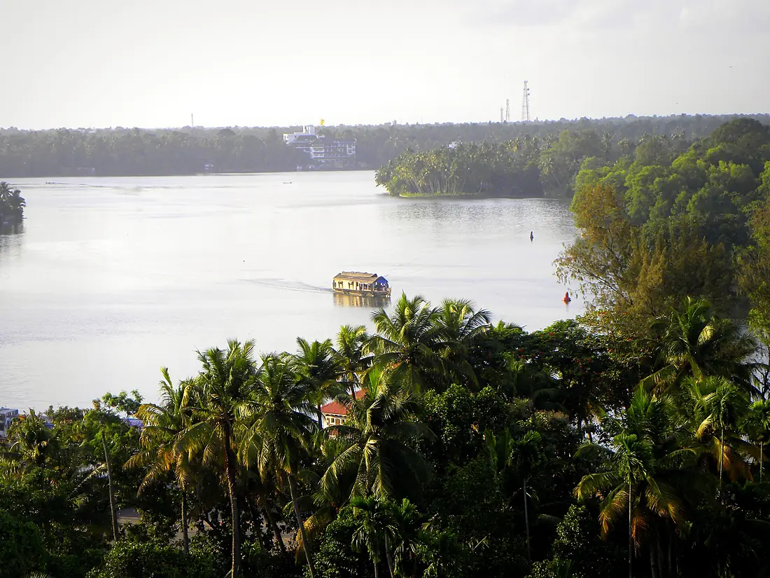 A top view of Ashtamudi backwaters