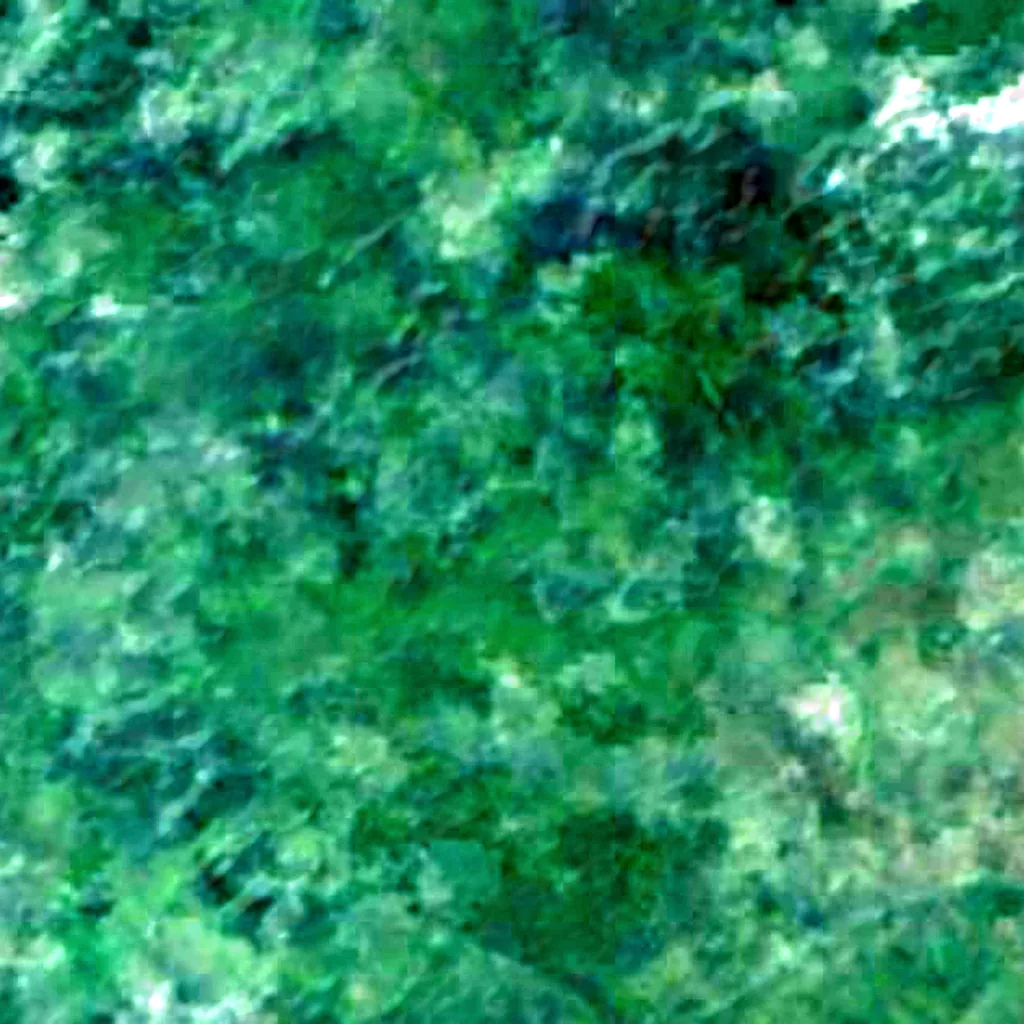 Parque nacional de Azagny visto desde arriba (Sentinel-2)
