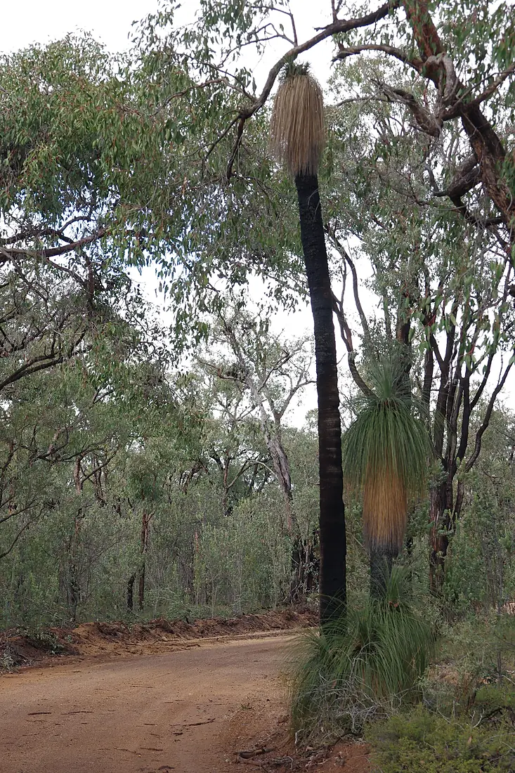 Avon vally gnangarra-23