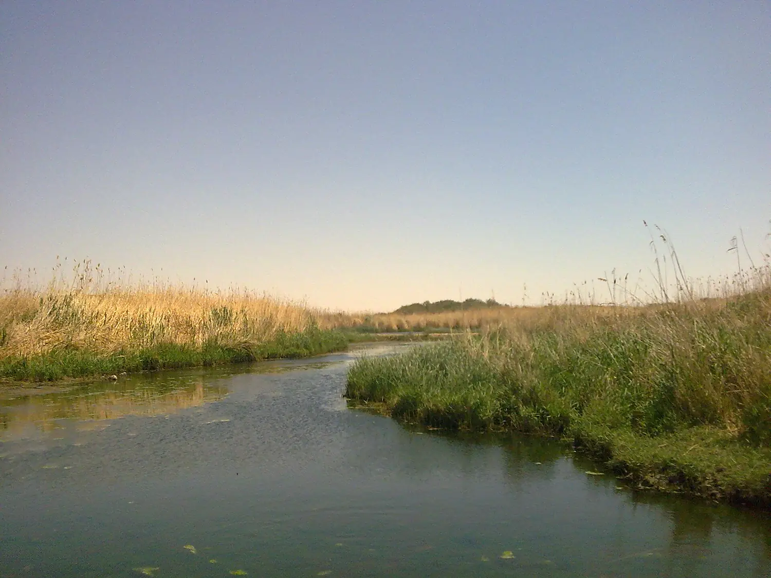 Azraq view