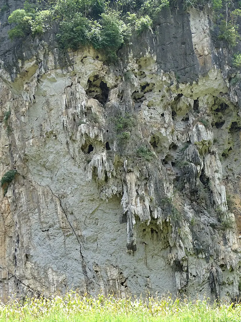 Karst (Limestone) Cliff - Shore of Ba Be Lake - Ba Be National Park - Vietnam (48102370122)
