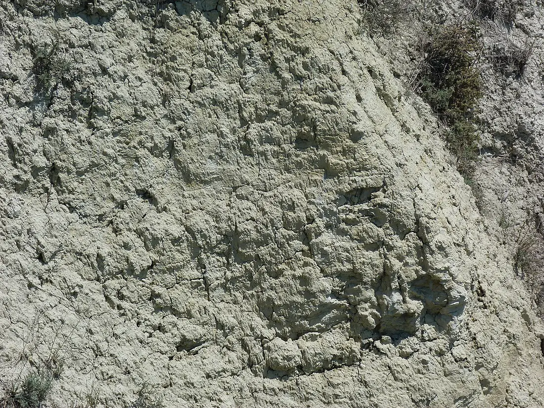 Tátorján - Balatonkenese 2012 (11)