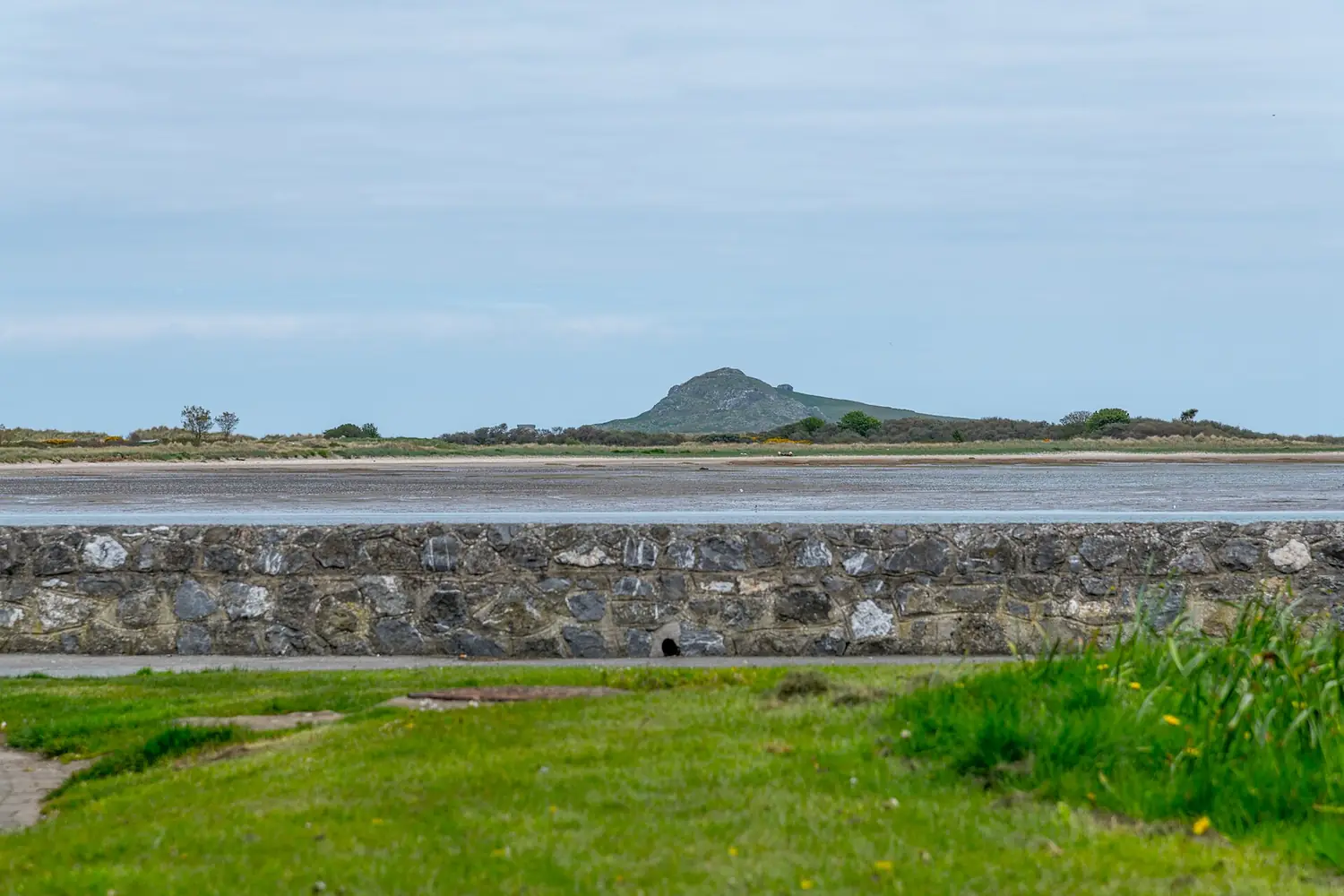 Baldoyle Bay - 20190505144921
