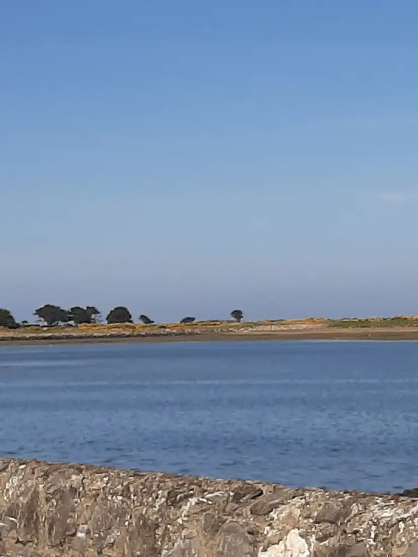 Baldoyle Estuary