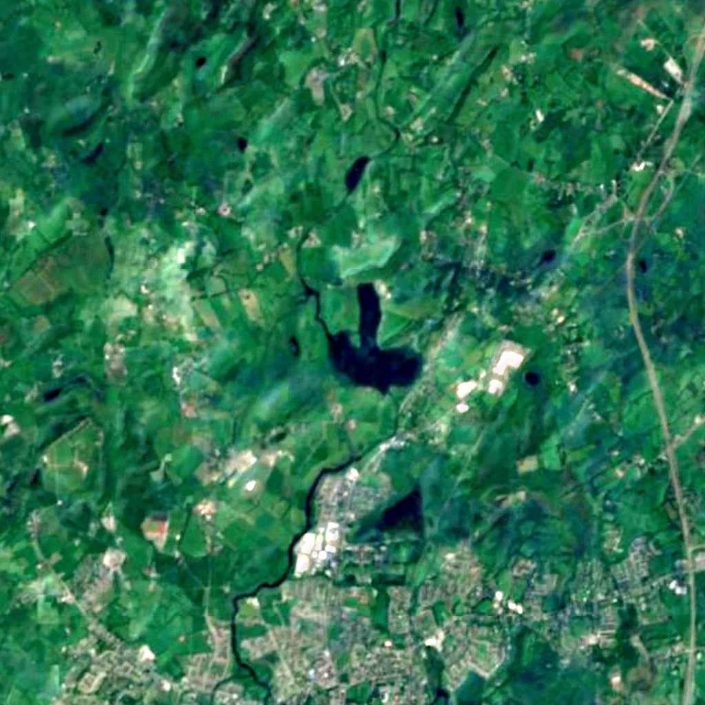 Ballyallia Lake vu d'en haut (Sentinel-2)