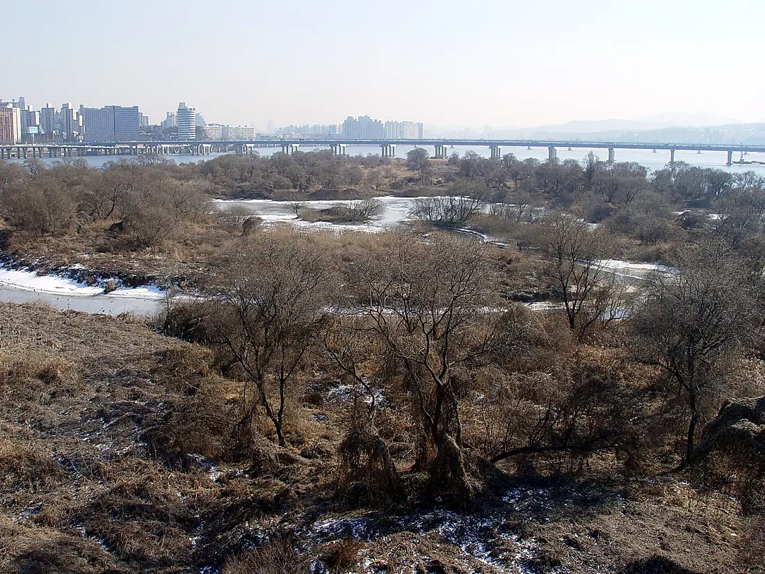 Bamseom - East Islet from Seogang Bridge