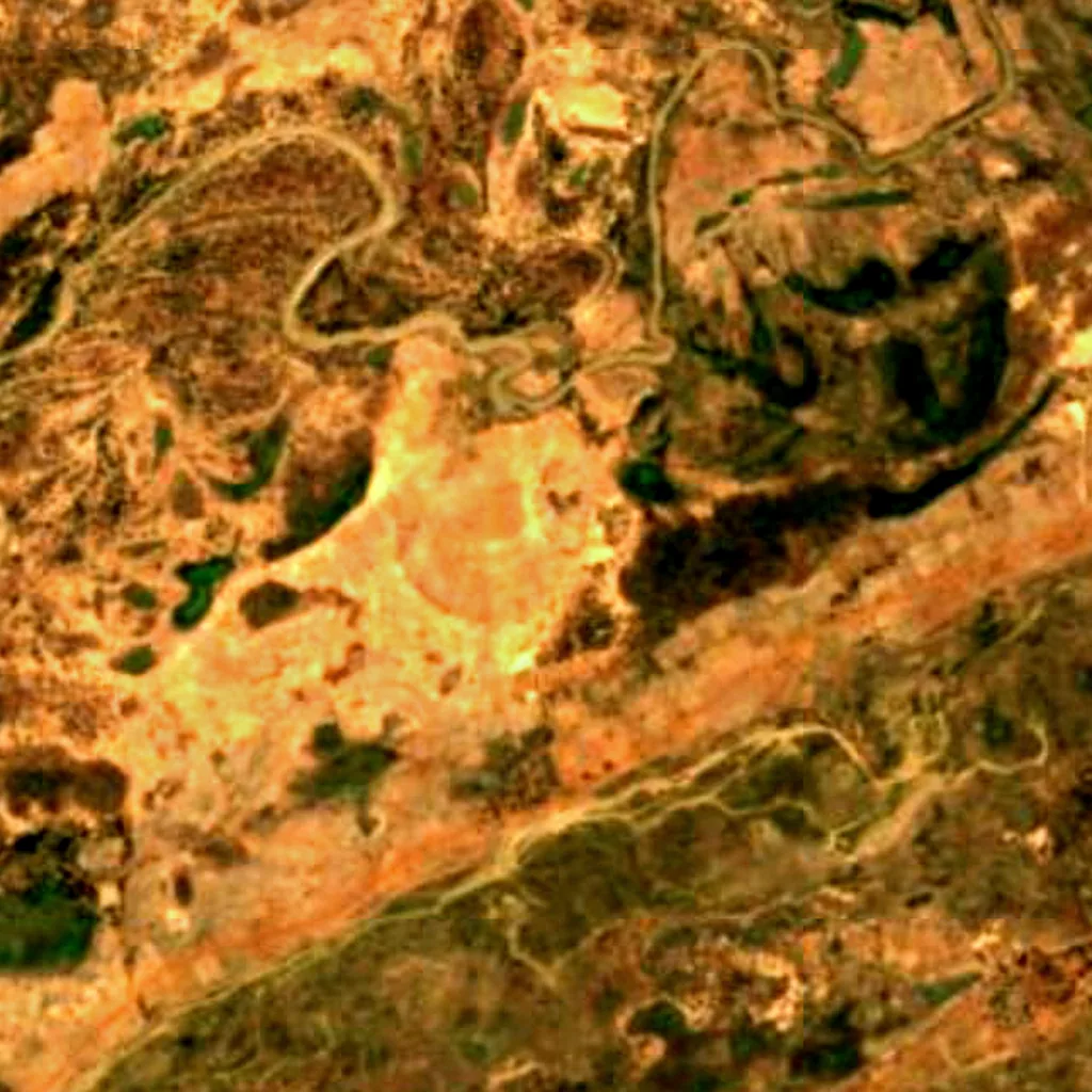 Baturiya Wetland seen from above (Sentinel-2)