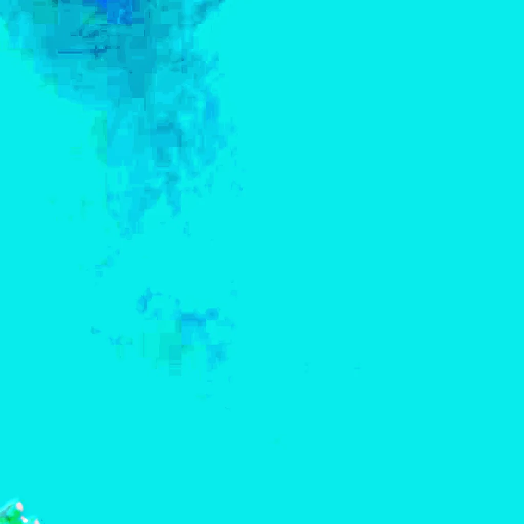 Bay of Buena Vista seen from above (Sentinel-2)