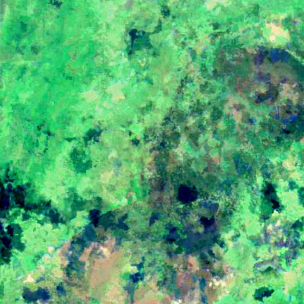 Beaverhill Lake von oben gesehen (Sentinel-2)
