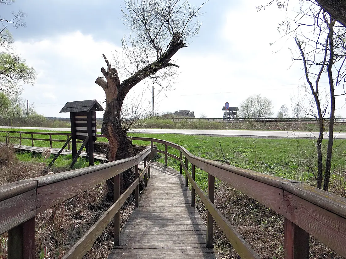 160416 - Trail in the Biebrza National Park - 01