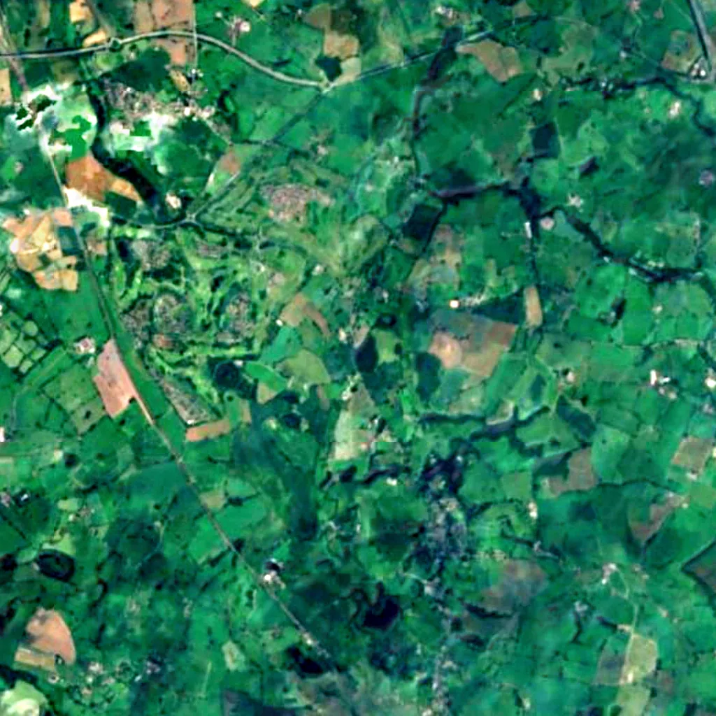 Black Firs and Cranberry Bog seen from above (Sentinel-2)