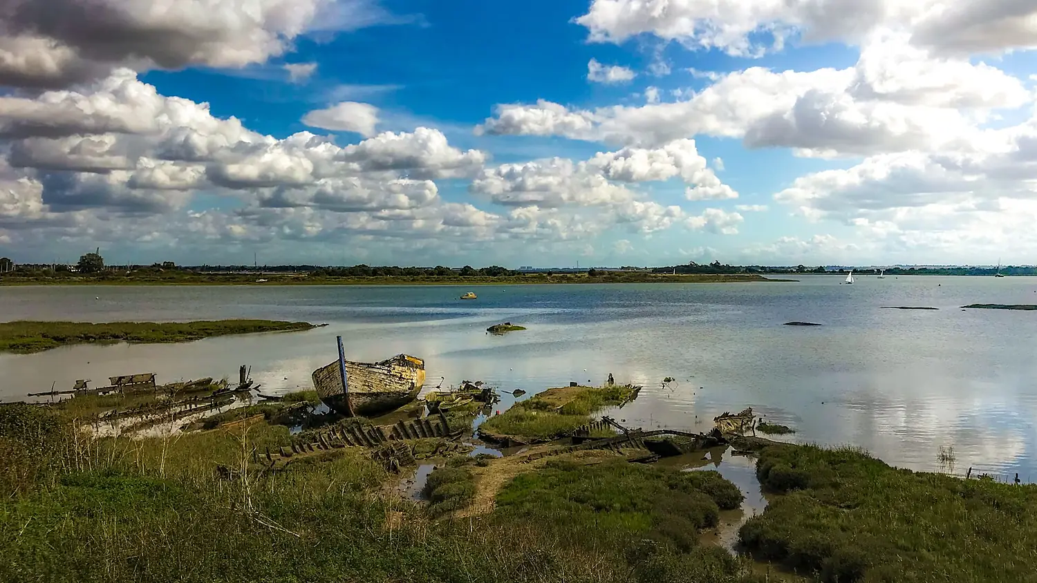 Blackwater estuary - Flickr - frank.shepherd