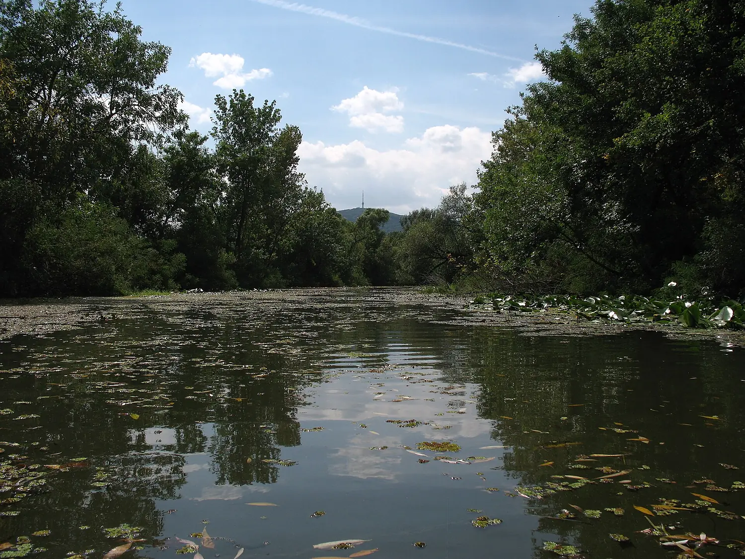 The Tokaj mountain 2