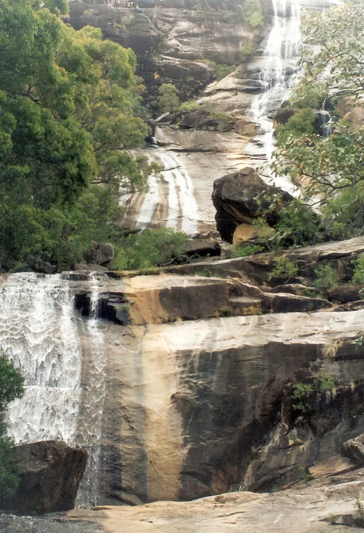 Alligator Creek Falls