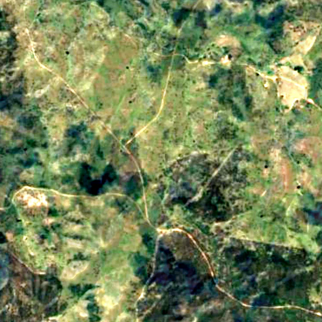 Bundarra-Barraba Important Bird Area seen from above (Sentinel-2)