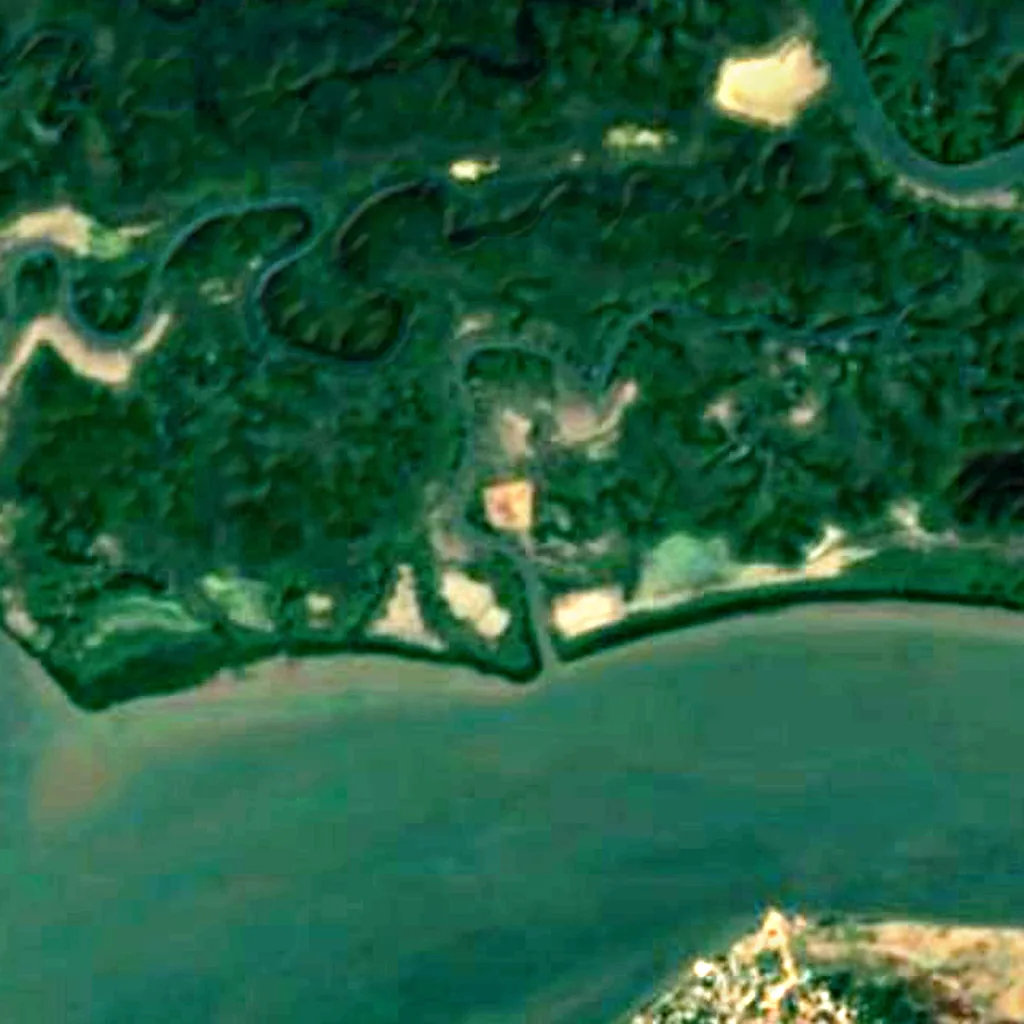 Parco naturale delle mangrovie del Rio Cacheu visto dall'alto (Sentinel-2)