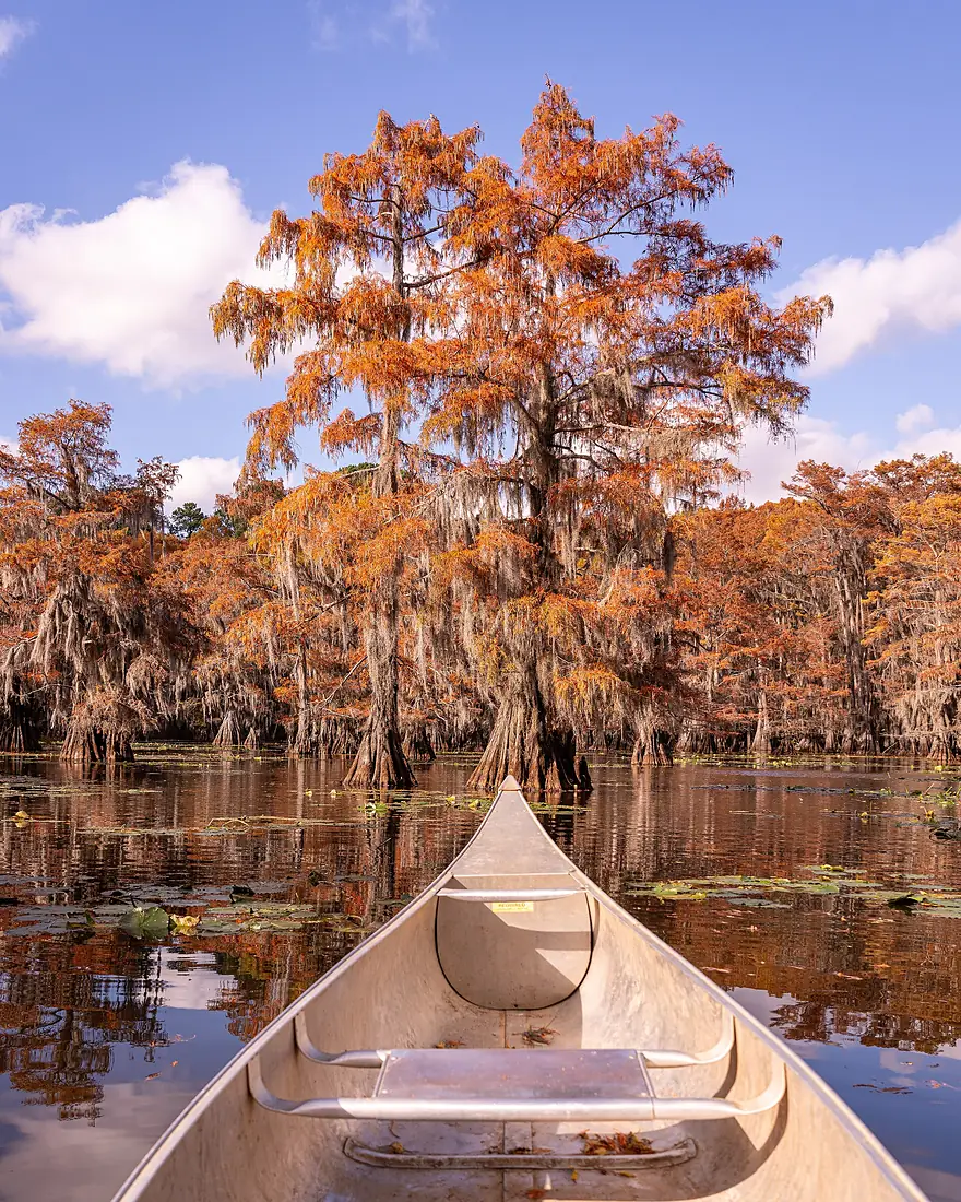 Caddo 2023 - Flickr - Mobilus In Mobili