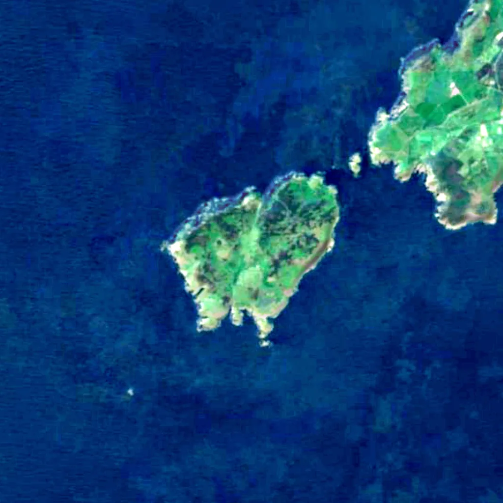 Calf of Man Bird Observatory seen from above (Sentinel-2)