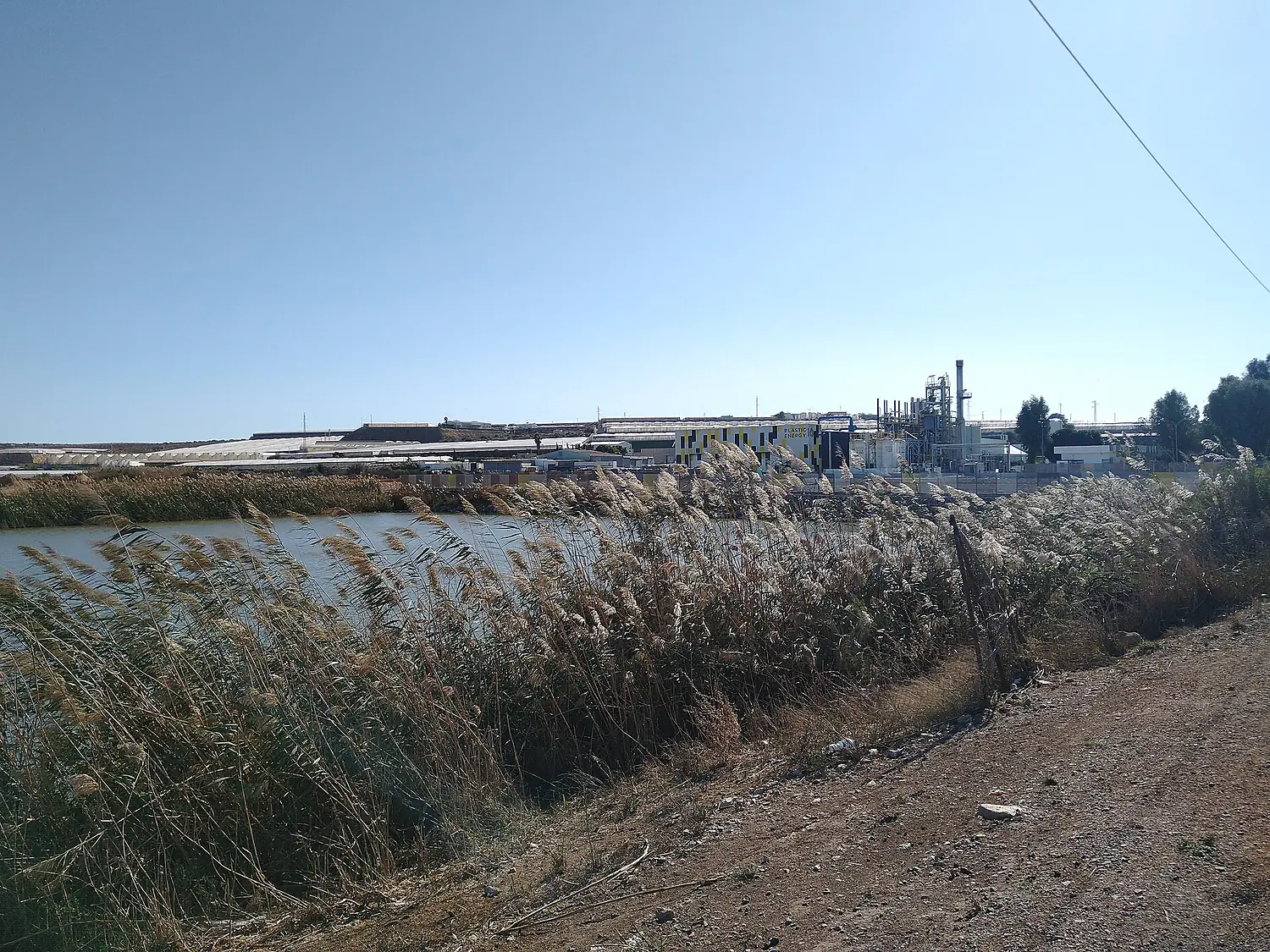 Visita a la Cañada de las Norias, El Ejido, Almería 20201107 005