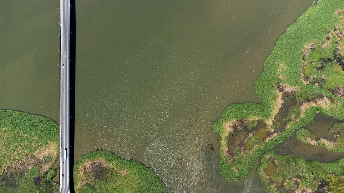 Área de Proteção Ambiental de Cananéia-Iguapé-Peruíbe - Jpdandretta(007)