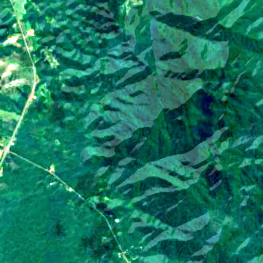 Cananéia-Iguape-Peruíbe Environmental Protection Area seen from above (Sentinel-2)
