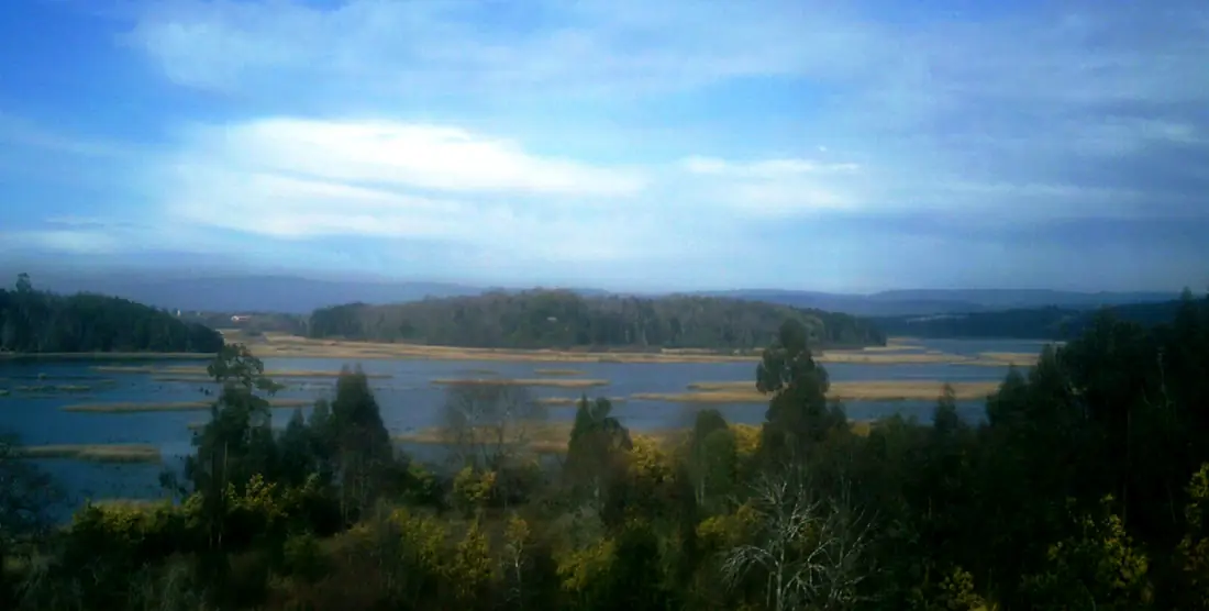Río Cruces e isla Teja