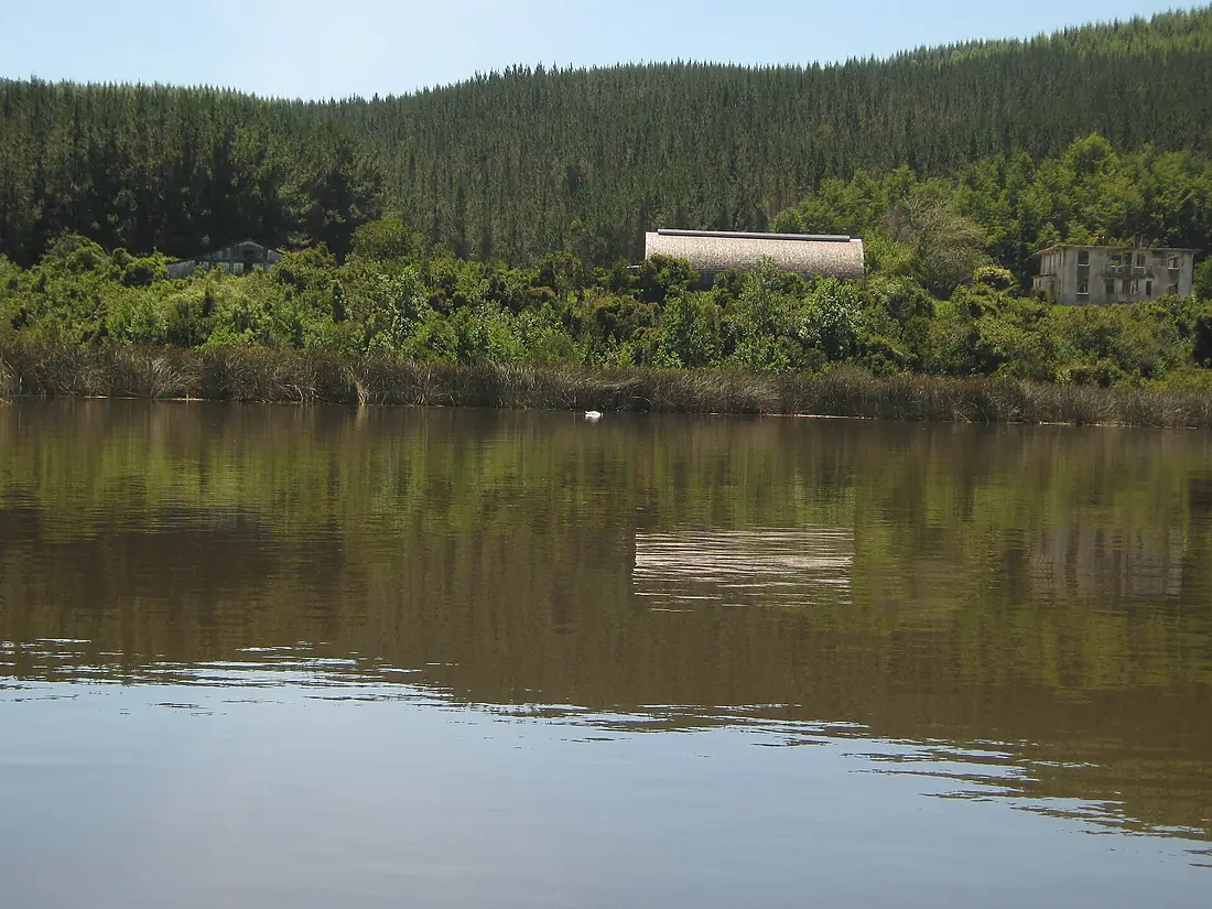 Humedal del río Cruces después del desastre ecológico que eliminó a casi la totalidad de los cisnes