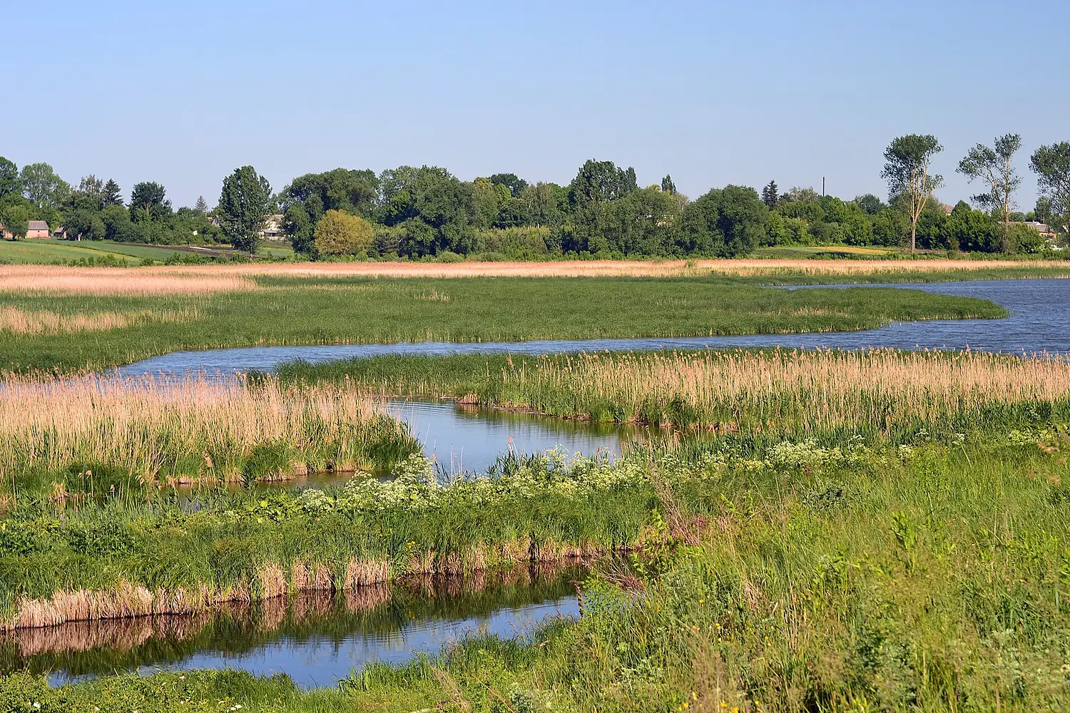 Charukiv Lutskyi Volynska-Charukiv nature reserve-view from east-3