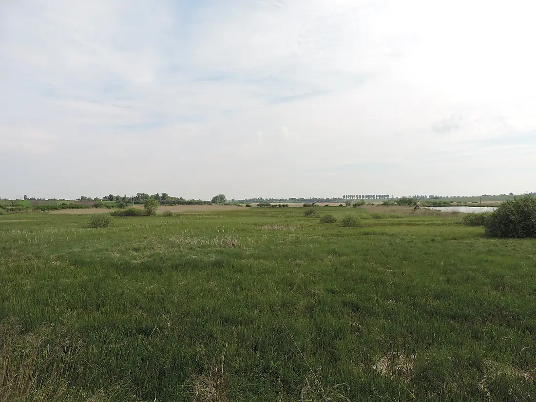 Чаруків, заказник