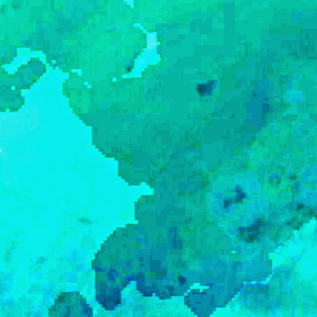 Chignecto Bay seen from above (Sentinel-2)