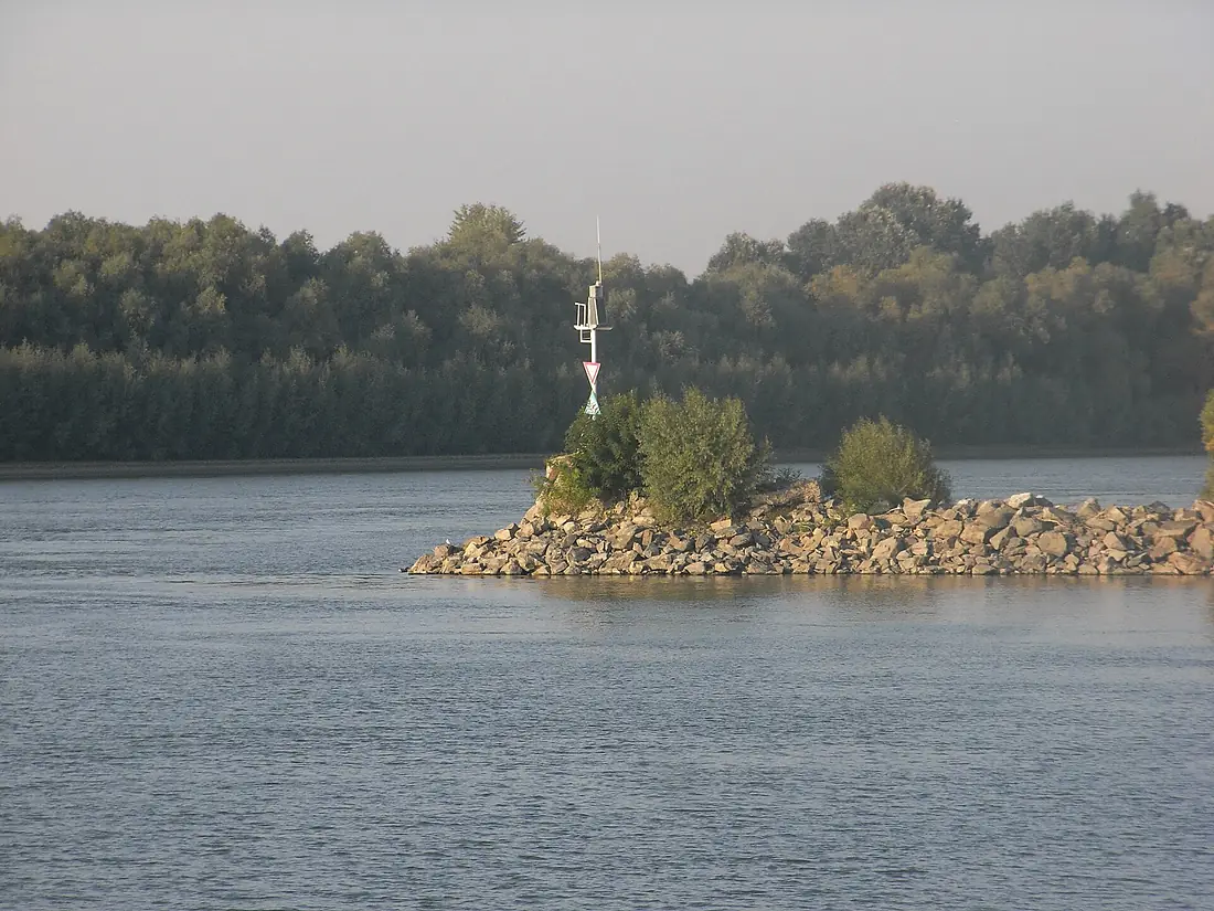 Pătlăgeanca Danube 2