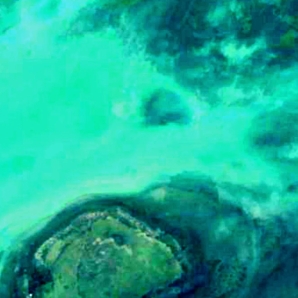 Chilika Lake seen from above (Sentinel-2)