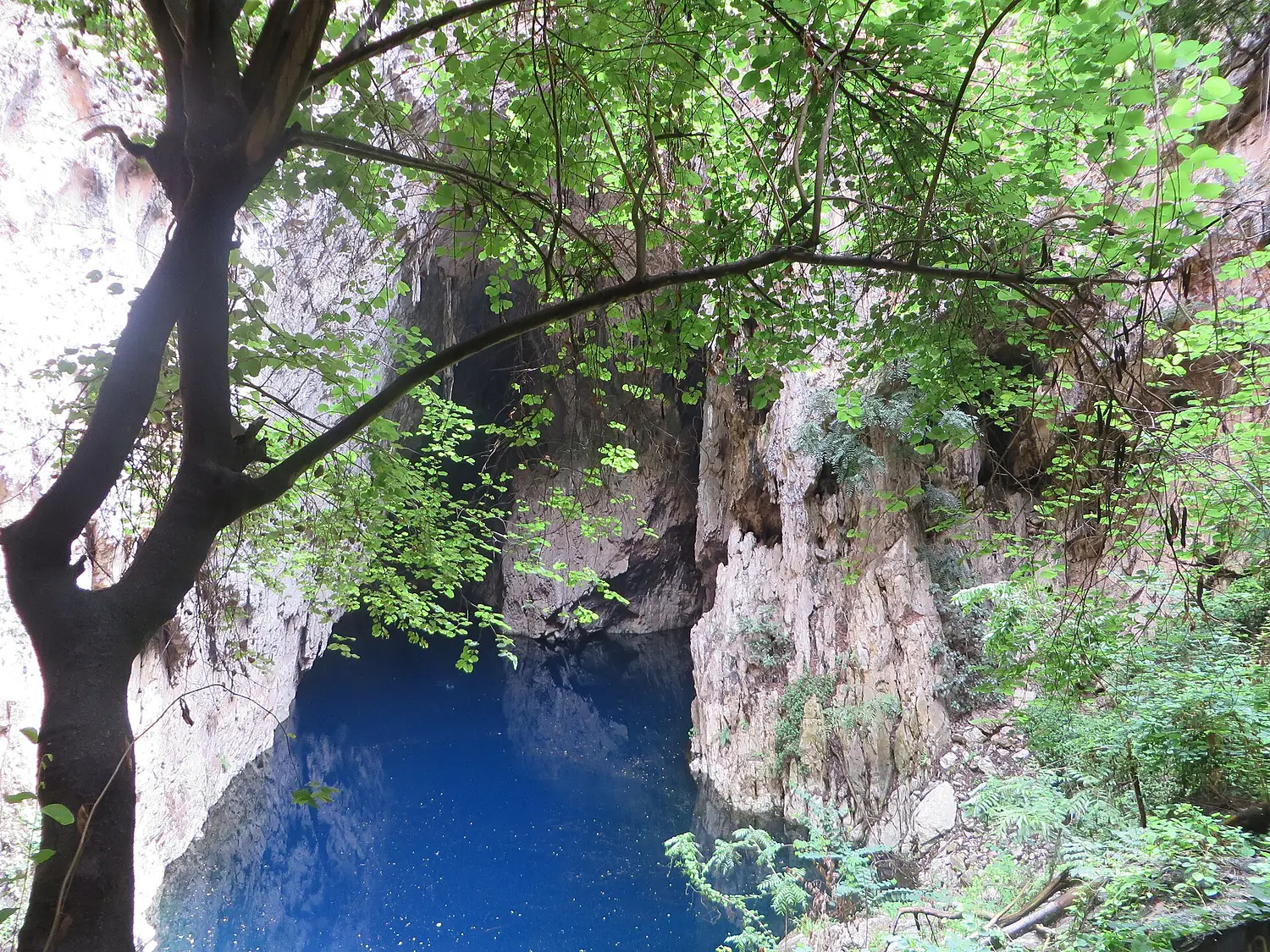 Sleeping Pool, Chinhoyi Caves, Zimbabwe