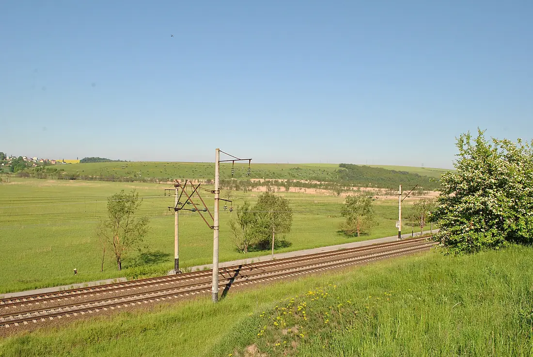 Chystylivskyi-ornitologichnyi-zakaznyk-14056789