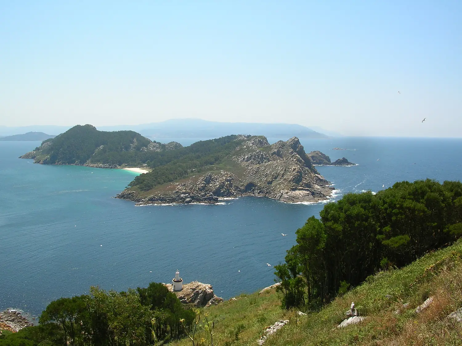 42862-cies