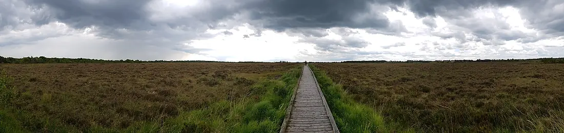 Clara bog boardwalk. 07