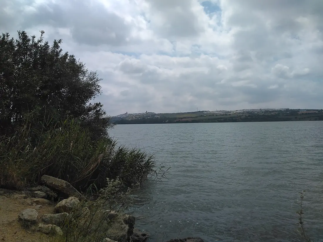 Paraje natural Cola del embalse de Arcos - IMG 20190504 154306 062