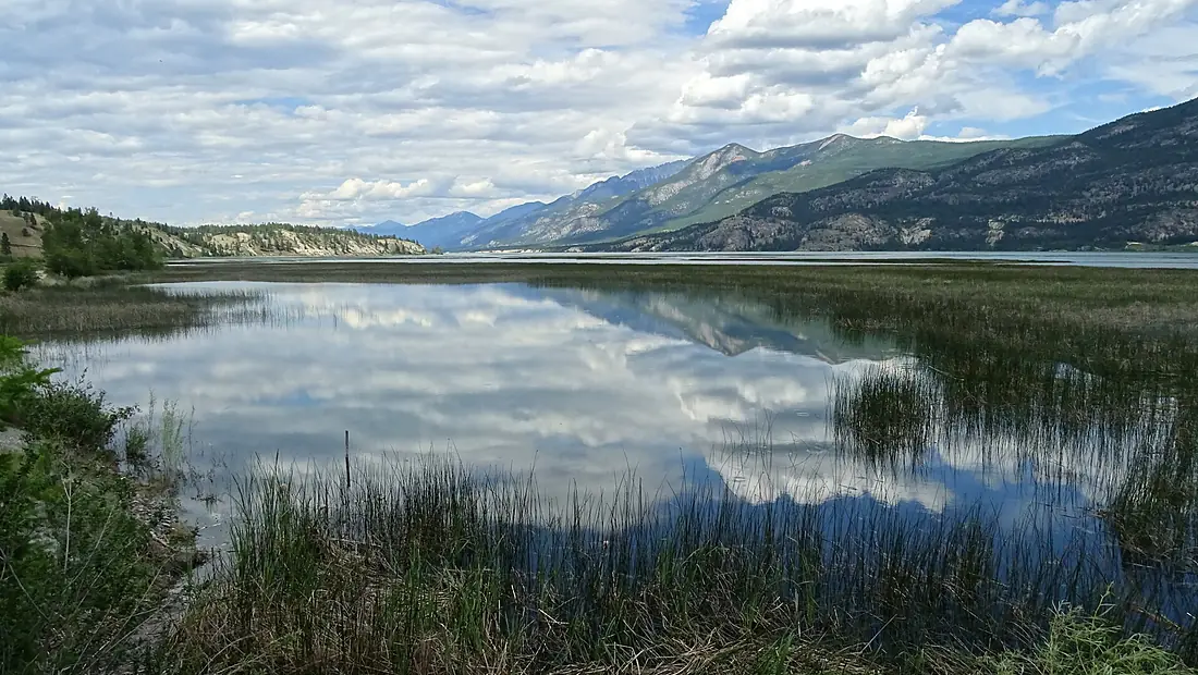 Columbia River Wetlands at Canal Flats, BC