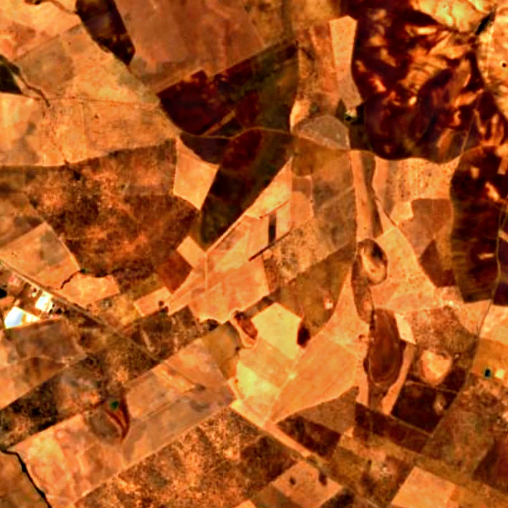 Complejo lagunar de La Albuera visto de cima (Sentinel-2)